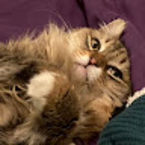 Meet your Posher, Alexandria